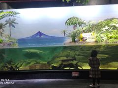 -江和美海洋公园