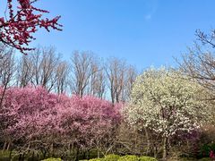 -洛阳市隋唐城遗址植物园