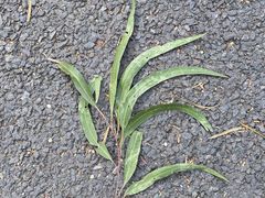 -白云山风景名胜区