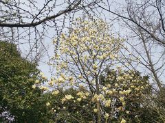 -九龙潭景区
