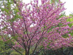 -贵阳市花溪国家城市湿地公园