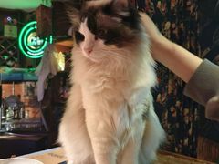 -南京天堂隔壁酒吧