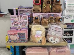 -舞蕾舞蹈(特长生校区)