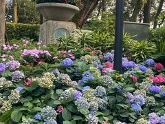 -广州市白云山风景名胜区