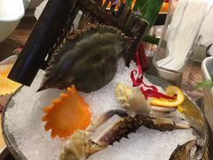 -尚海豆捞(乐虹坊店)