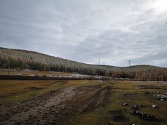 -塞罕坝国家级自然保护区