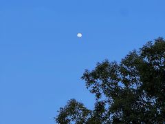 -东钱湖小普陀景区