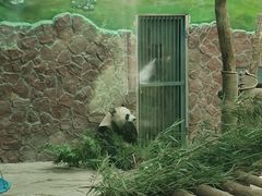 -黔灵山公园