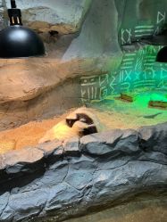 -Zoolung Zoolung动物主题公园(海信广场店)