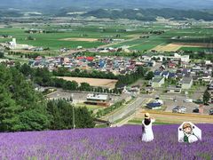 -富田农场