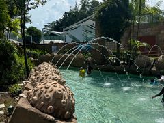 -新加坡水上探险乐园