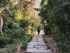 -采石矶景区