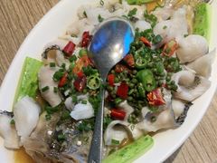 青花椒蒸鲈鱼-客家班·客家菜(嘉禾金铂店)