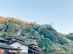 -林坑古村落