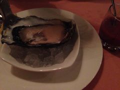 Oyster&nbsp;Talks&nbsp;蚝吧-Oyster Talks 四度蚝法餐厅