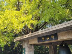 -大连人民广场