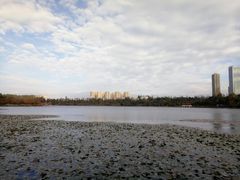 -洛龙公园