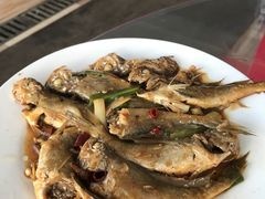 -阳光海鲜大排档