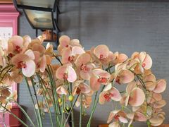 -八府香鸭·啫啫煲(华山路店)