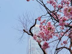 -静安雕塑公园