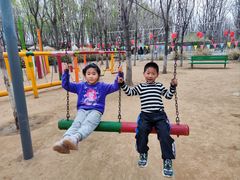 -草根堂农场