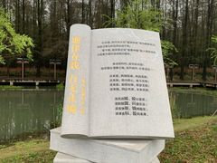 -青山湖景区