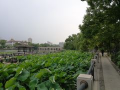 -南通濠河风景名胜区