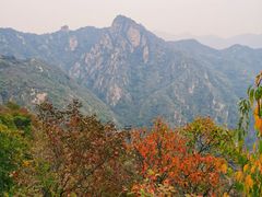 -大岭沟猕猴桃谷风景区