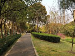 -高东生态园-停车场