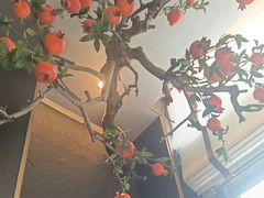 -宁邦·家宴·南京菜(红山动物园店)
