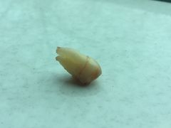 -福建医科大学附属第一医院(茶亭院区)