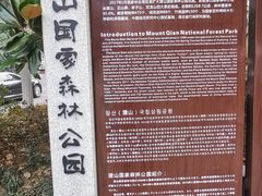 -潜山国家森林公园