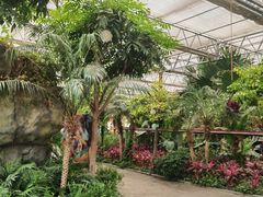 -南宫五洲植物乐园