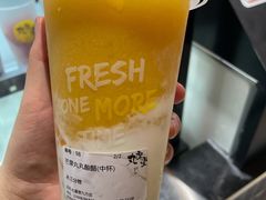 芒果丸丸奶酪-丸摩堂鲜果茶(九方店)