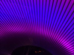 -枫花园汽车电影院(朝阳公园店)