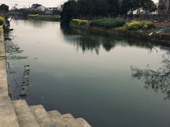 -南汇水蜜桃采摘(大团店)