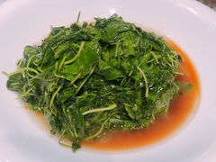 -老洋房花园饭店(绍兴路店)