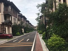 -美的鹭湖森林度假区