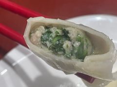 荠菜鲜肉水饺-喜家德虾仁水饺(北京超极合生汇店)