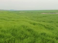 -湖南东洞庭湖国家级自然保护区