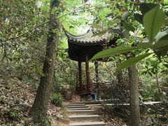 -上海佘山国家森林公园西佘山园