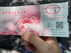 -东平国家森林公园