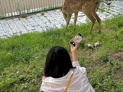 -水上乐园·欢乐世界