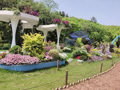 -上海共青森林公园