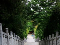 -终南山古楼观历史文化景区