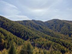-苏木山森林公园