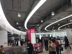 -东方体育中心(地铁站)