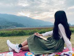 -风云岭森林公园