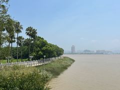 -江心屿景区