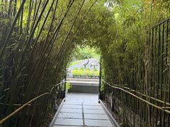 -花锦堂·隐庐